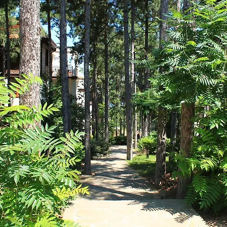 Aparthotel Dreambg 3*